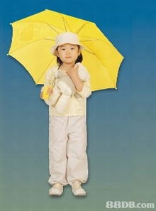 专业制作各类沙滩伞 睛雨伞 儿童伞