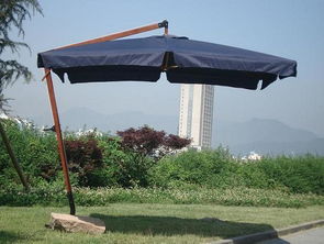 龙泉市诚信旅游用品厂 庭园伞高清图片展示